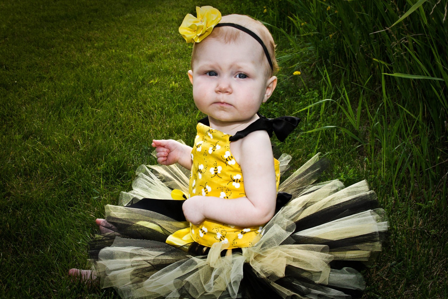 Bumble Bee Baby Tutu Outfit: First Birthday Cake Smash Costume Girl Bee Theme