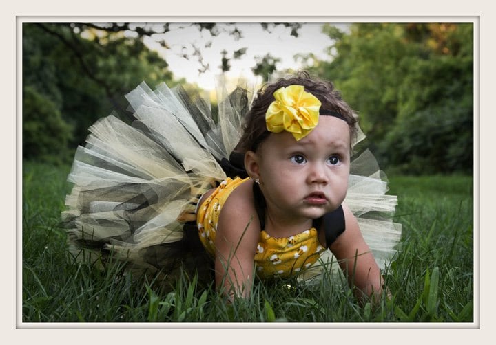 Bumble Bee Baby Tutu Outfit: First Birthday Cake Smash Costume Girl Bee Theme