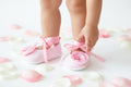 Pink Lace Baby Shoes Vintage Infant Ballerina Slippers Baby Girl Dress Shoes Newborn Photo Outfit Baby Shower Gift Elegant Baby Shoes